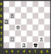 chessf21.gif (2944 octets)