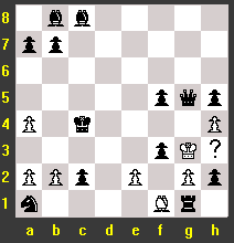 chessr04-2.gif (3491 octets)