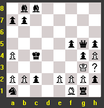 chessr04-3.gif (3546 octets)