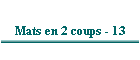 Mats en 2 coups - 13