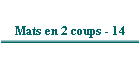 Mats en 2 coups - 14